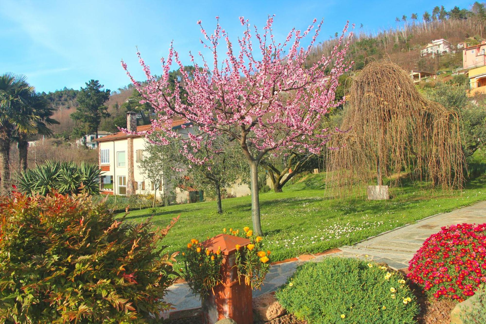 Casa Vacanze Ester Polverara Exterior foto